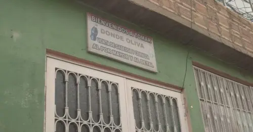 DONDE OLIVA DONDE OLIVA